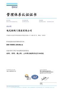 ISO45001職業健康安全管理體系證書
